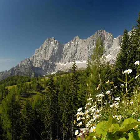 Dachstein Grand Alpine