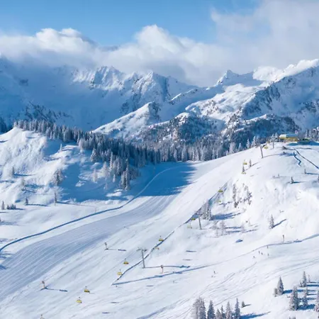 Dachstein Grand Alpine Chalet *